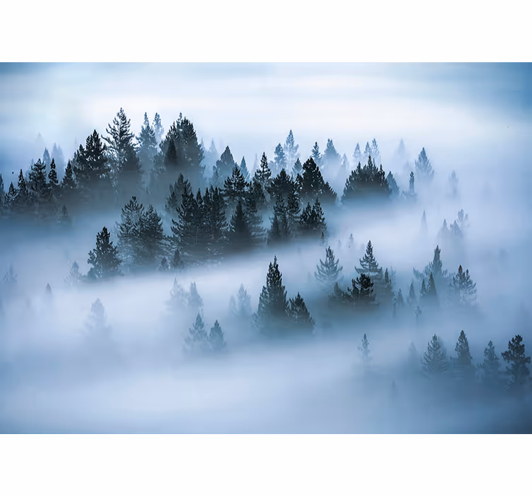 Morning fog forest wall mural - TenStickers