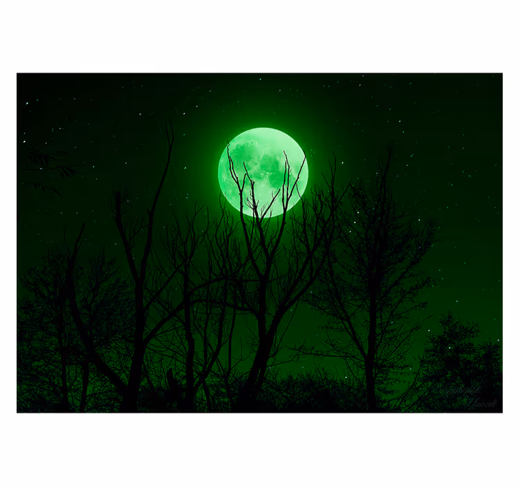 Moonlit Musical Silhouette wall mural fantasy - TenStickers