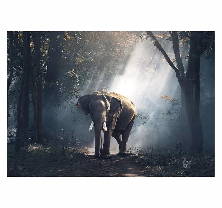 Animals wall mural majestic forest elephant - TenStickers