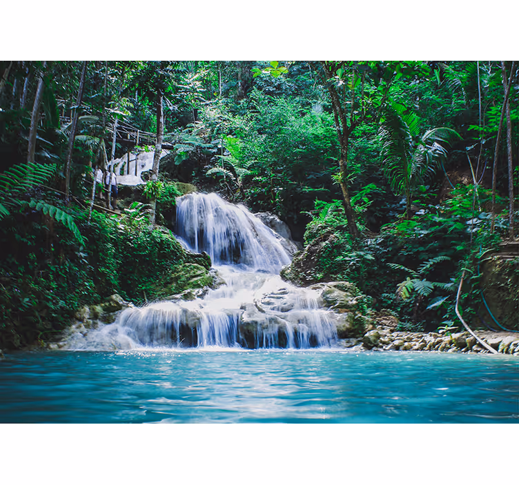Escape to a tropical rainforest tree wall mural - TenStickers