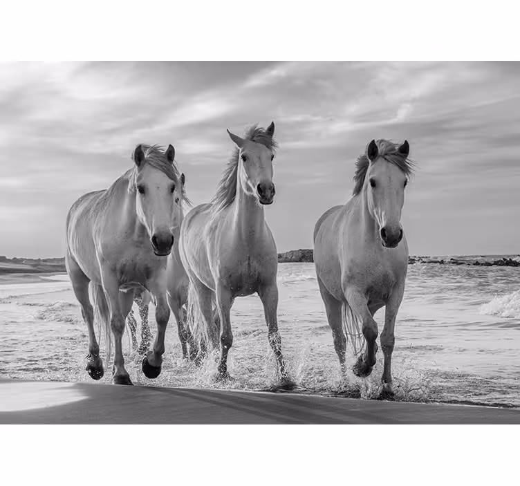 Animals wall mural regal horses in motion - TenStickers
