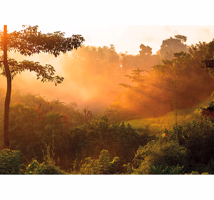 Wall mural nature tranquil woodland scene - TenStickers