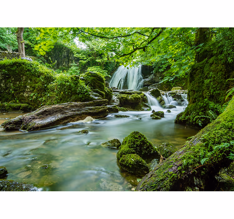 Wall mural nature tranquil woodland stream - TenStickers