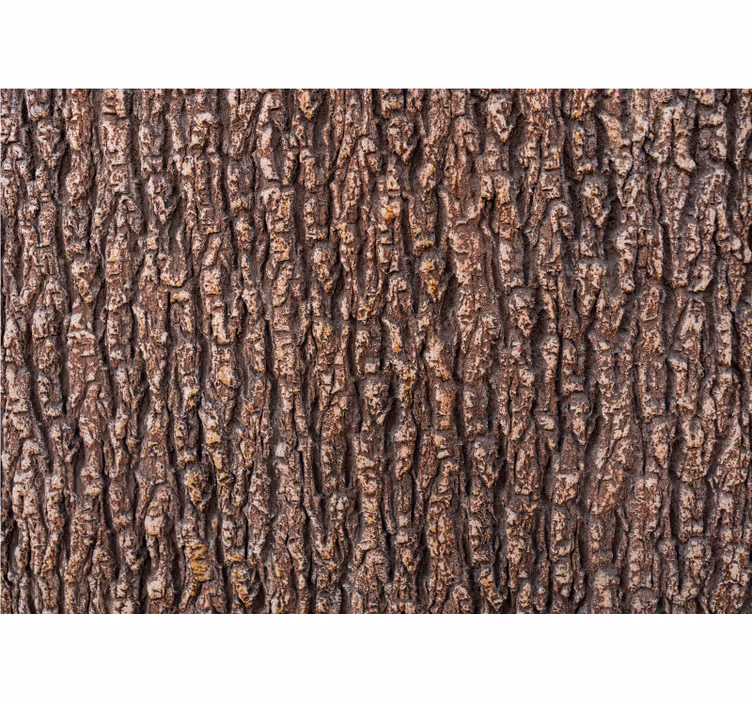 Mural stone wall textured bark surface - TenStickers