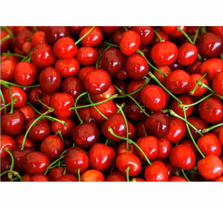 Flower wall mural ripe cherry clusters - TenStickers