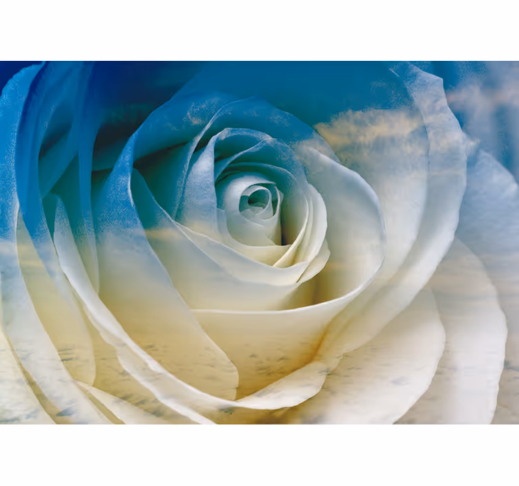 Flower wall mural rose blossom elegance - TenStickers