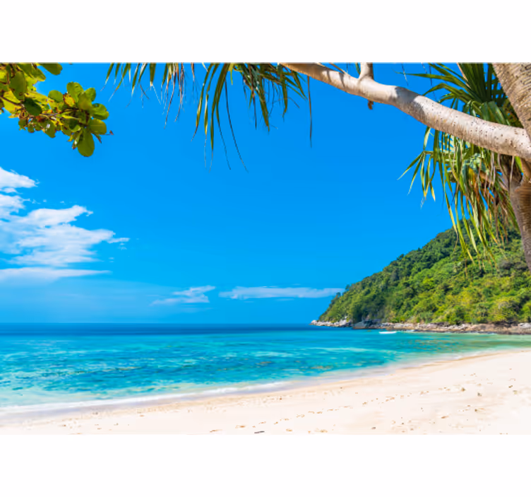 Tropical Coastal Landscape under the sea wall mural - TenStickers