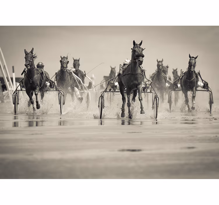 Horses Racing Together animals wall mural - TenStickers