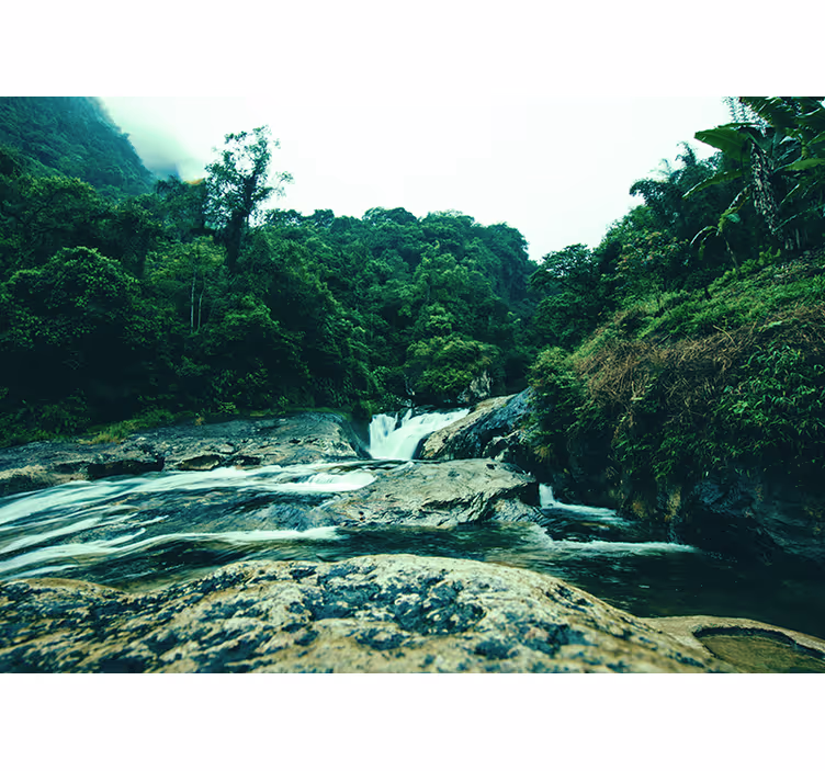 Serene Green Scene wall mural waterfall - TenStickers