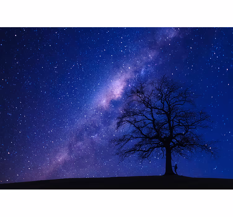 Astral Nightview space wall mural - TenStickers