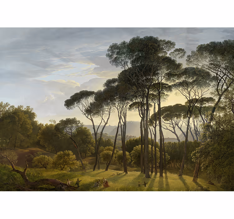 Forest sunbeams wall mural nature - TenStickers