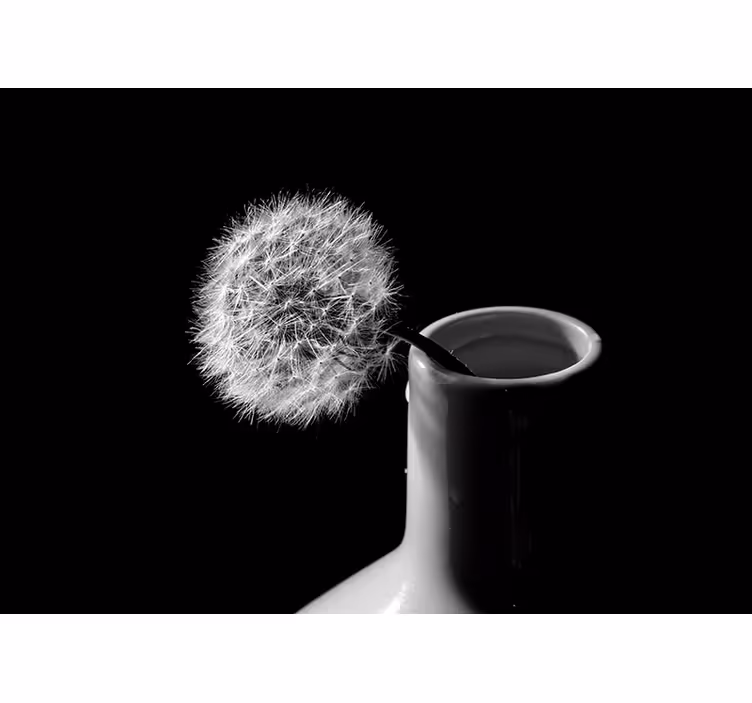 Dandelion wall mural dandelion in a vase - TenStickers