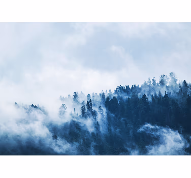 Wall mural nature forest misty landscape - TenStickers