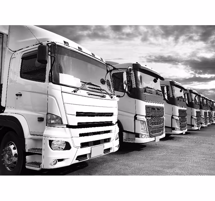 Wall mural vehicle trucks collection - TenStickers
