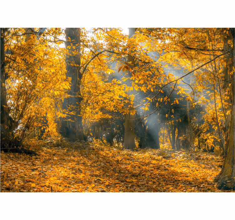 Wall mural nature golden autumn trees - TenStickers
