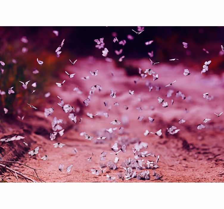 Delicate Butterfly Dance flower wall mural - TenStickers
