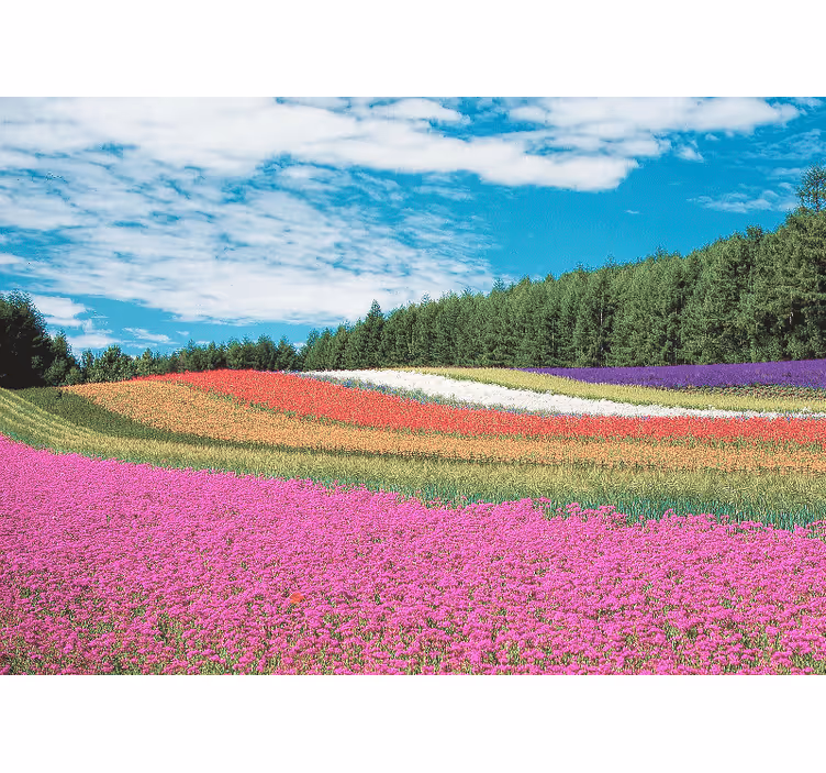 Flower wall mural vibrant floral landscape - TenStickers