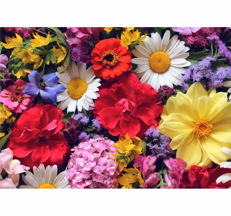 Flower wall mural vibrant bloom arrangement - TenStickers