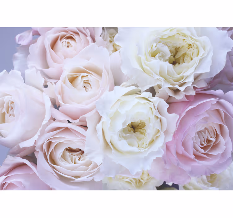 Soft Pink Shades roses living room wallpaper - TenStickers