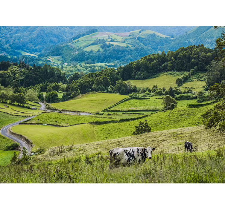 Landscape wall mural rolling green meadows - TenStickers