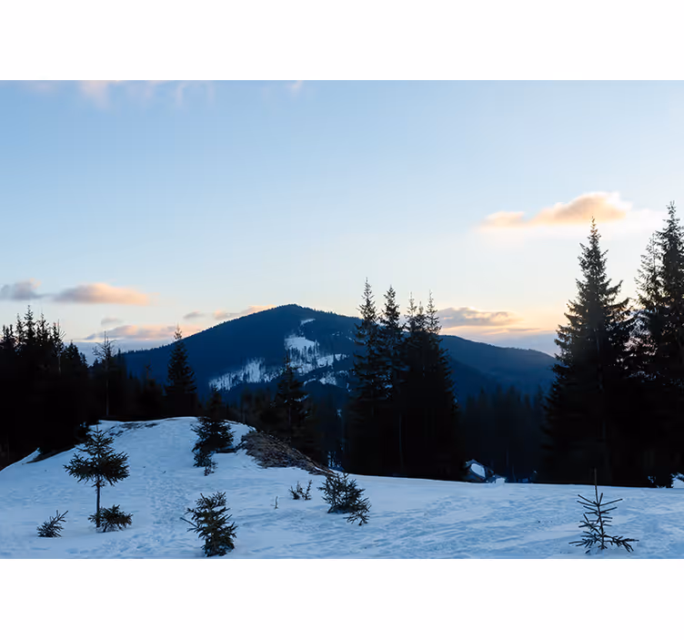 Wall mural mountain frosty summit landscape - TenStickers