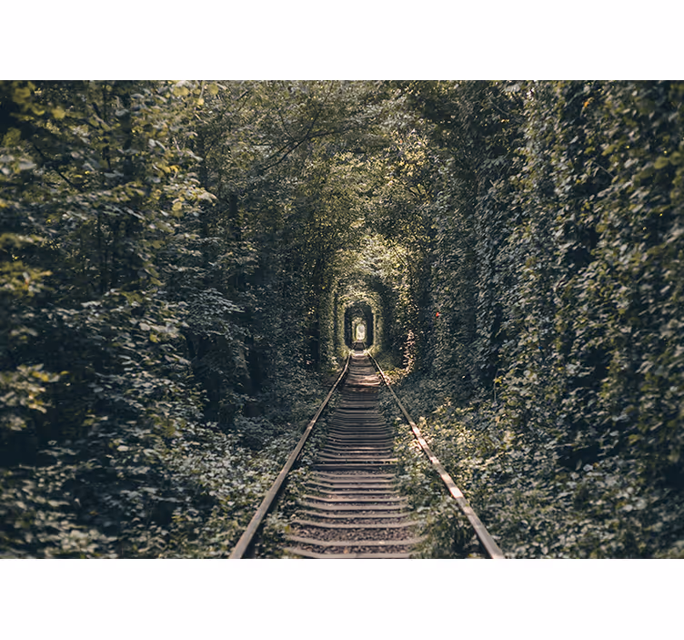 Landscape wall mural railway tunnel scenery - TenStickers