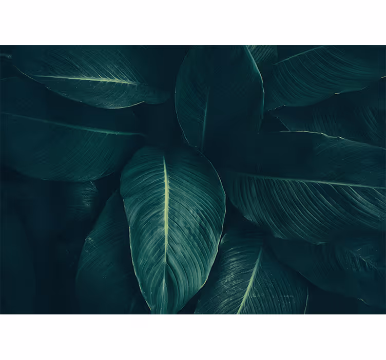Wall mural nature lush leafy design - TenStickers