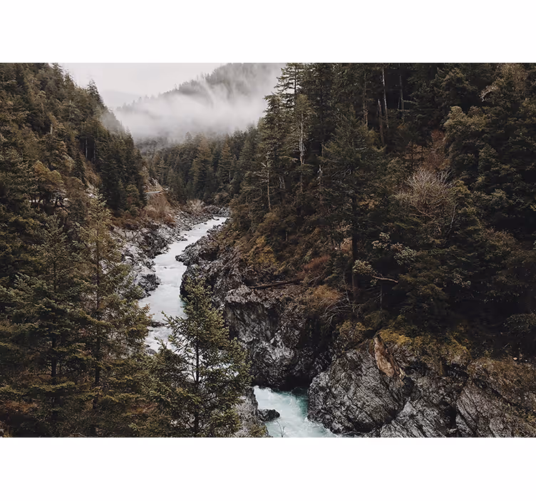 Wall mural nature majestic river scene - TenStickers