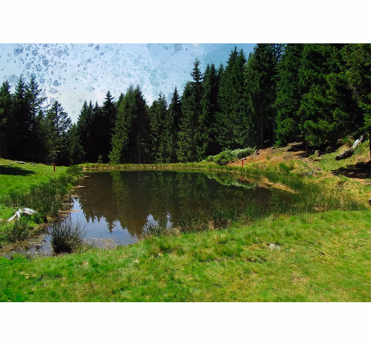 Landscape wall mural tranquil forest scene - TenStickers