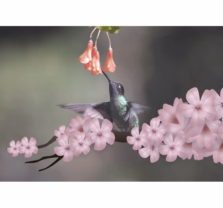 Hummingbird and blooms animals wall mural - TenStickers