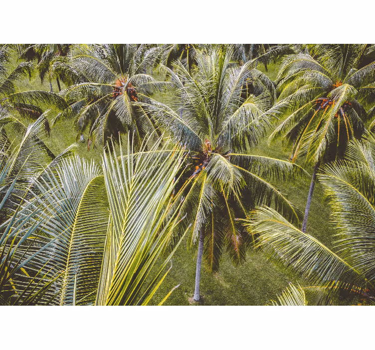 Wall mural nature lush palm fronds - TenStickers