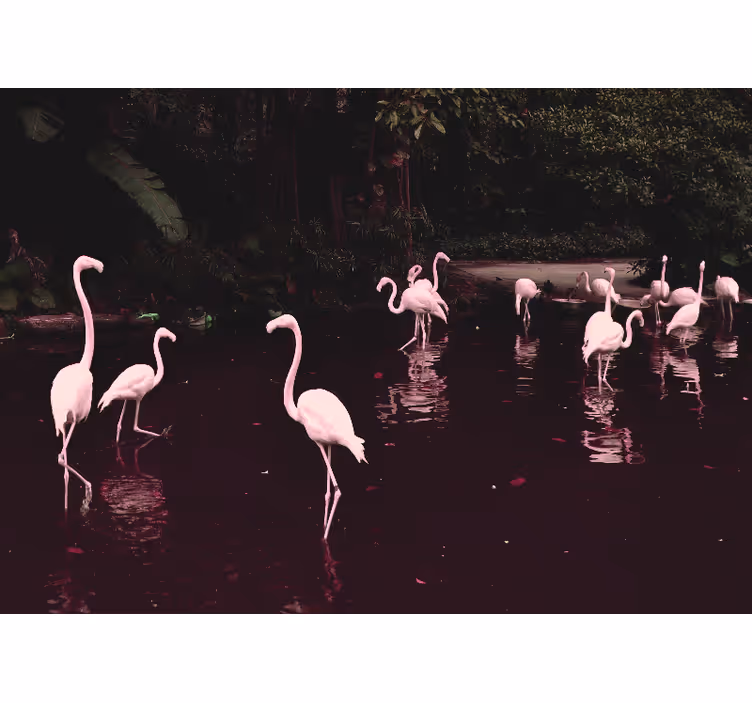 Home office wall mural elegant flamingos gathering - TenStickers