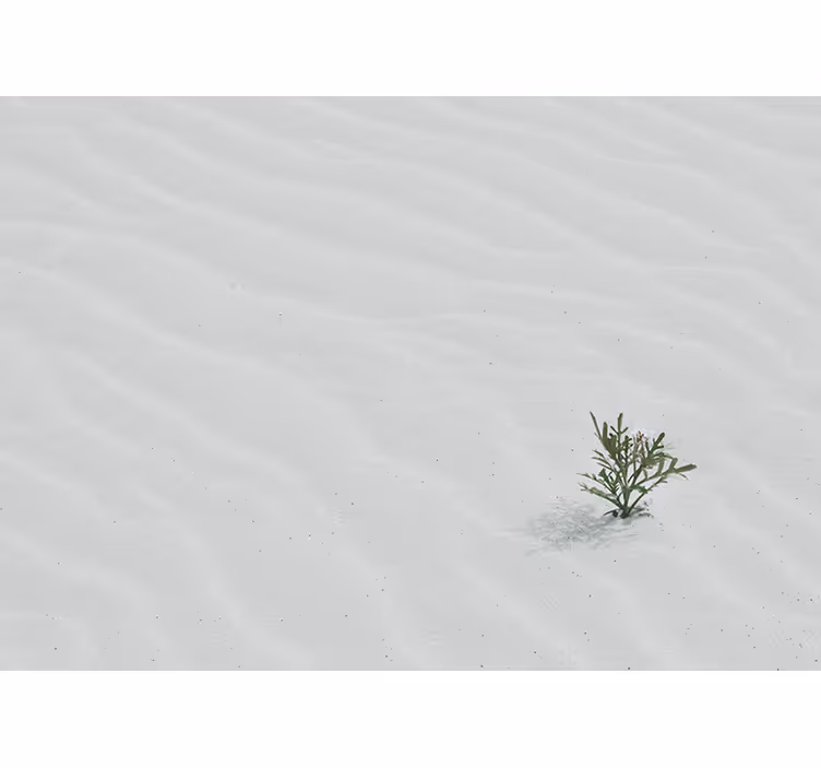 Wall mural nature sand and greenery - TenStickers