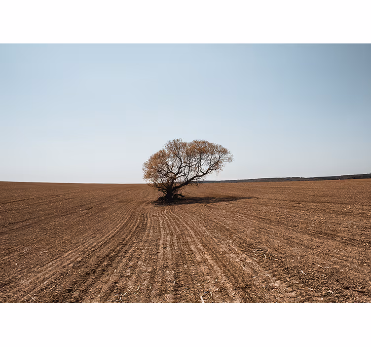 Wall mural nature lonely tree scenery - TenStickers