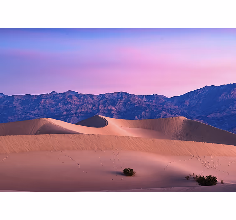 Desert wall mural golden dunes landscape - TenStickers