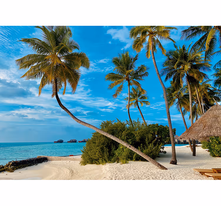 Nature wallpaper tropical palm scene - TenStickers