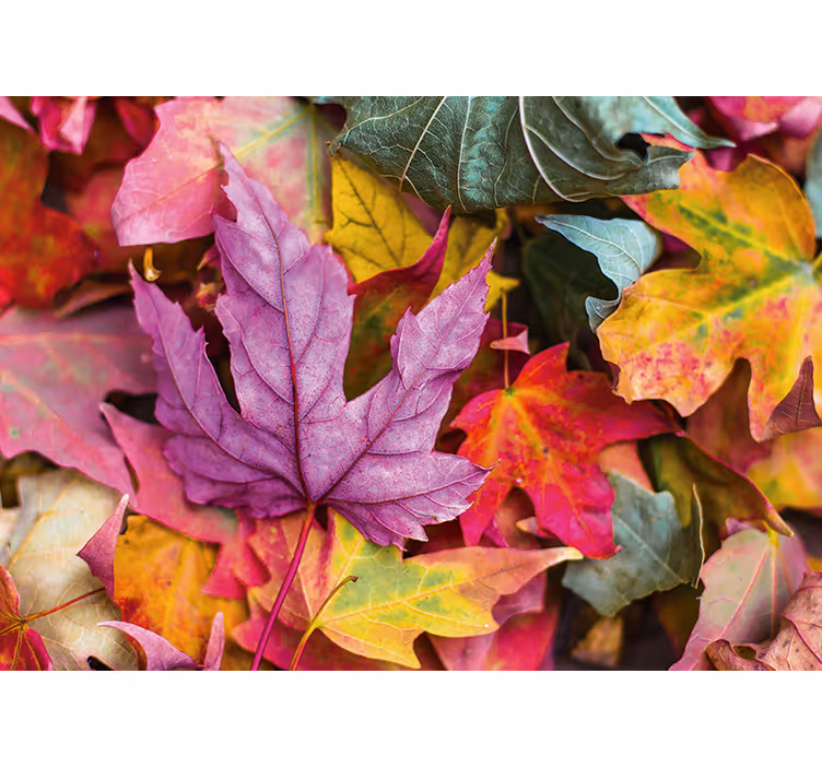 Flower wall mural with vibrant leaf patterns - TenStickers