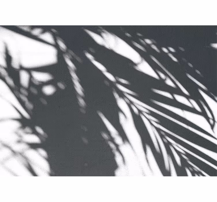 Wall mural nature shadowy palm designs - TenStickers