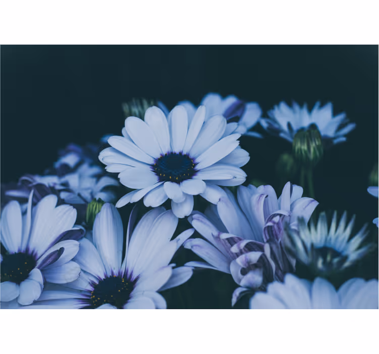 Flower wall mural serene floral design - TenStickers