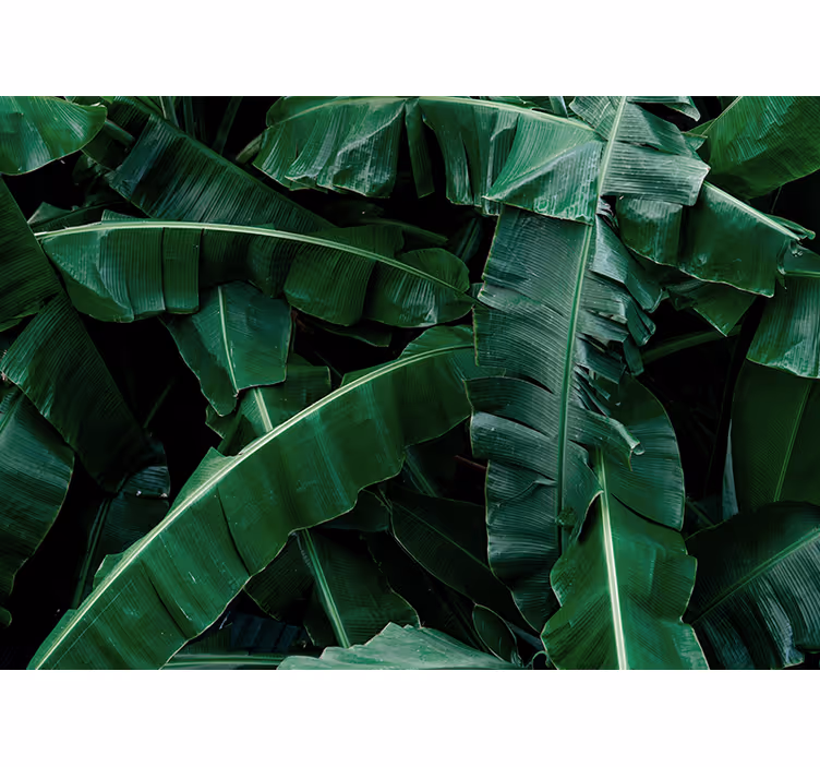 Wall mural nature vibrant green foliage decor - TenStickers