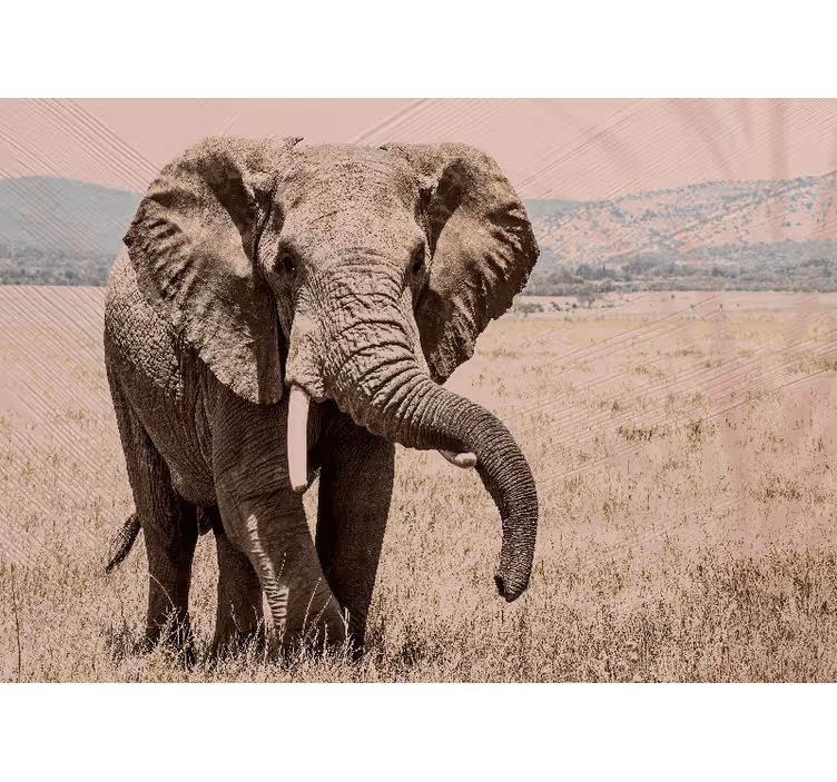 Animals wall mural regal elephant essence - TenStickers