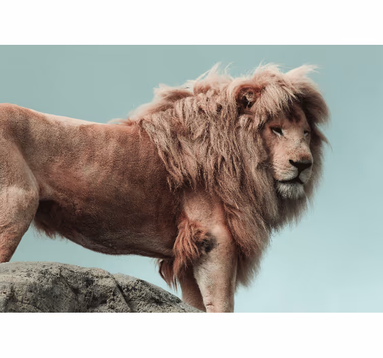 Lion wall mural majestic lion stance - TenStickers