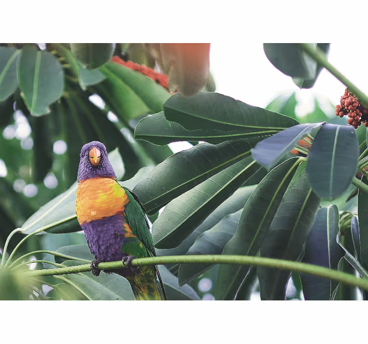 Animals wall mural colorful parrot perched - TenStickers