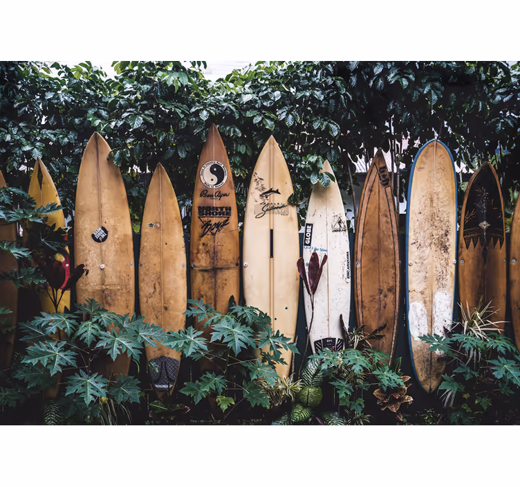 Wall mural vehicle surfboards on display - TenStickers