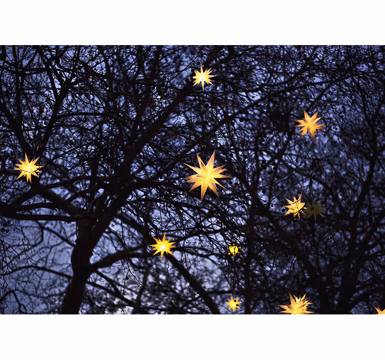 Christmas wall mural golden starry night - TenStickers