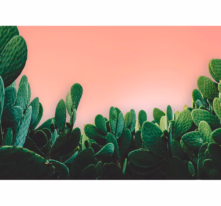 Wall mural nature cactus landscape - TenStickers