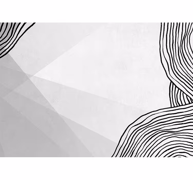 Abstract wall mural geometric line artwork - TenStickers