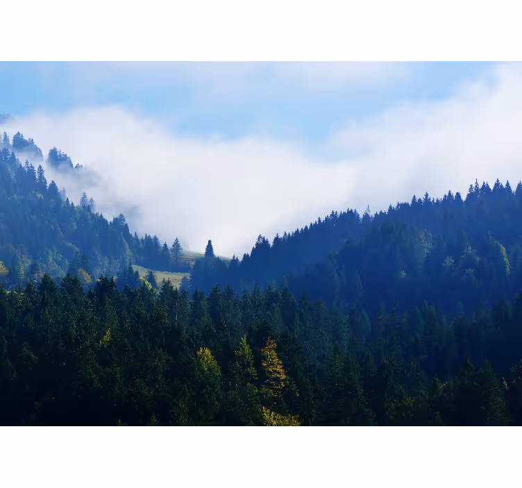 Wall mural nature mountains and mist - TenStickers