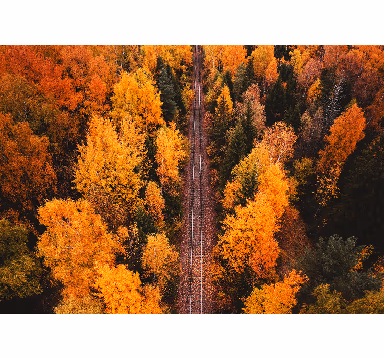 Landscape wall mural autumn woodland path - TenStickers