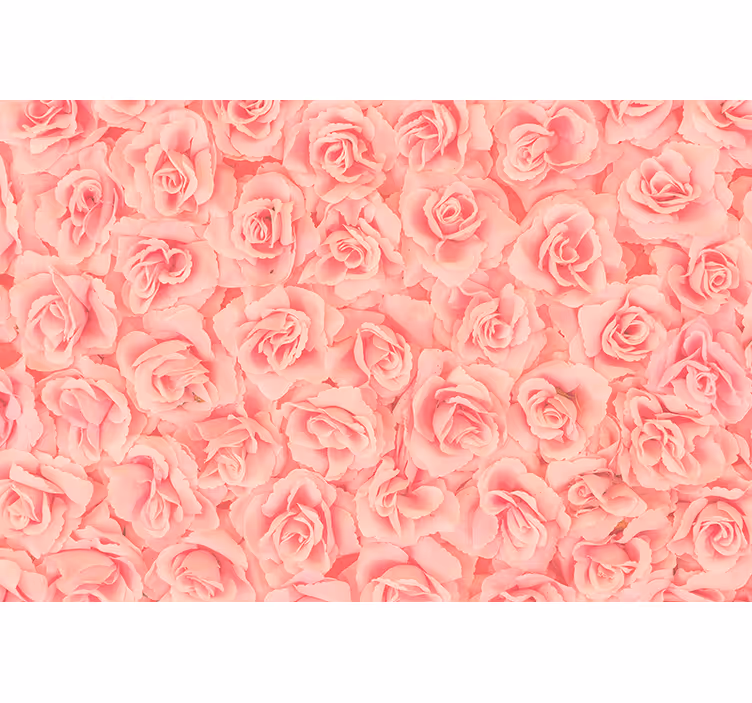 Flower wall mural roses in bloom - TenStickers